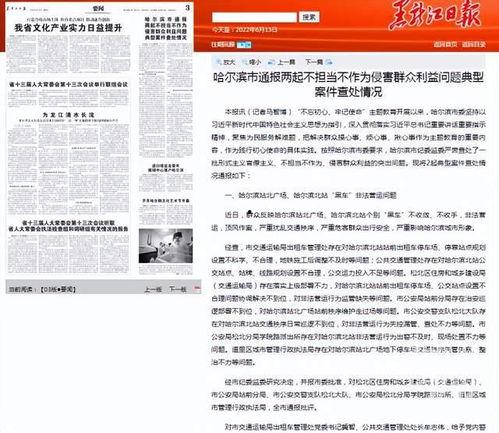 哈尔滨网约车爆料事件最新,司机与乘客冲突引发社会关注